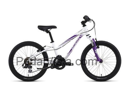 Specialized Hotrock 20 fiche technique et avis